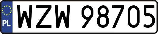 WZW98705