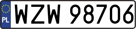 WZW98706