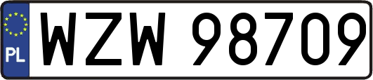 WZW98709