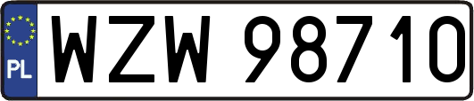 WZW98710