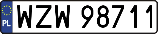 WZW98711