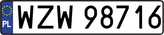 WZW98716
