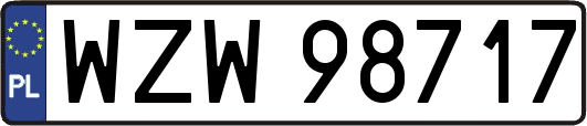 WZW98717