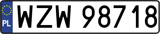 WZW98718