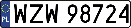 WZW98724