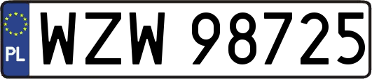 WZW98725