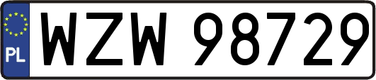 WZW98729