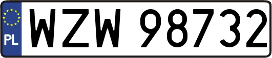 WZW98732