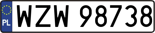 WZW98738