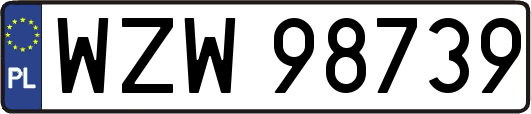 WZW98739