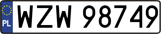 WZW98749