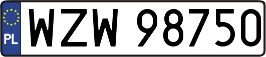 WZW98750