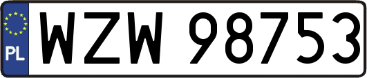 WZW98753