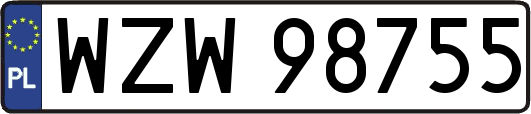 WZW98755