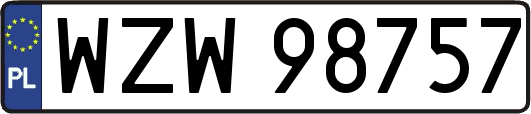 WZW98757