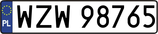 WZW98765