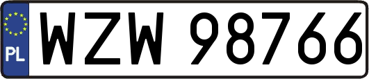 WZW98766