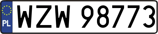 WZW98773