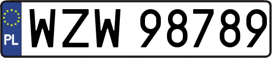 WZW98789