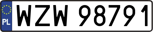 WZW98791