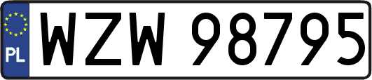WZW98795