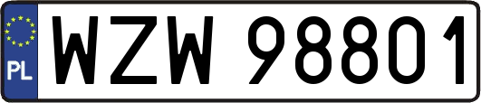WZW98801