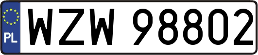 WZW98802