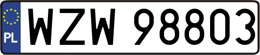WZW98803