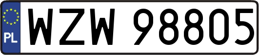 WZW98805