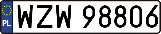 WZW98806