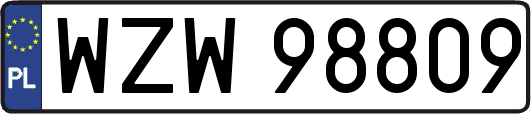 WZW98809