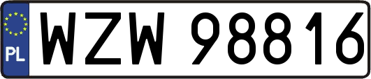 WZW98816