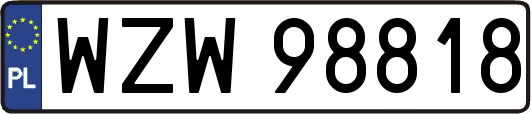 WZW98818