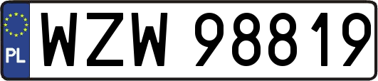 WZW98819
