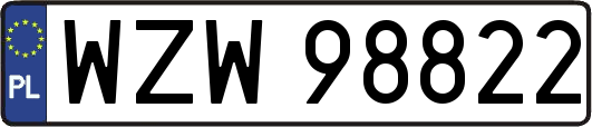 WZW98822