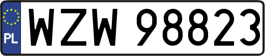 WZW98823