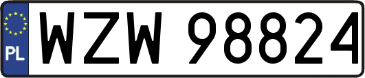 WZW98824