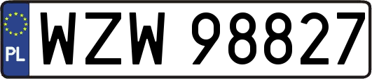 WZW98827