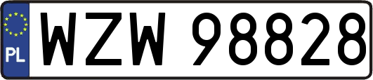 WZW98828