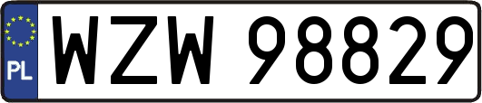 WZW98829