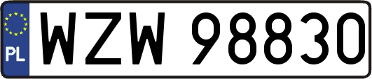 WZW98830