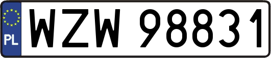 WZW98831