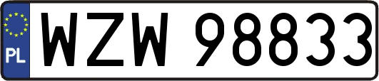 WZW98833