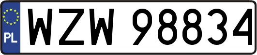 WZW98834