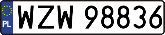 WZW98836