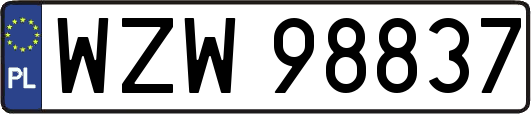WZW98837