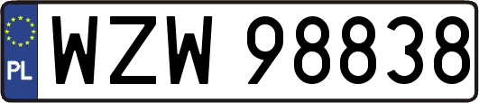 WZW98838