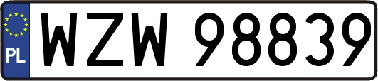 WZW98839