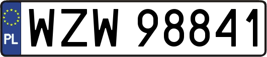 WZW98841