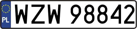 WZW98842